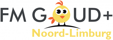 Radio FM Goud Plus 
